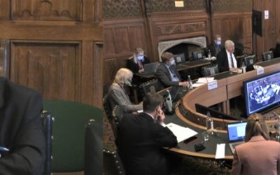 Marcus Munafò and Dorothy Bishop give evidence in parliament for STC inquiry on reproducibility and research integrity
