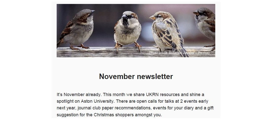 November 2023 LNL Newsletter