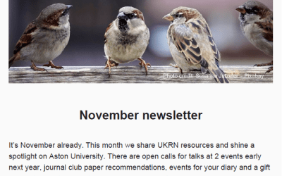 November 2023 LNL Newsletter